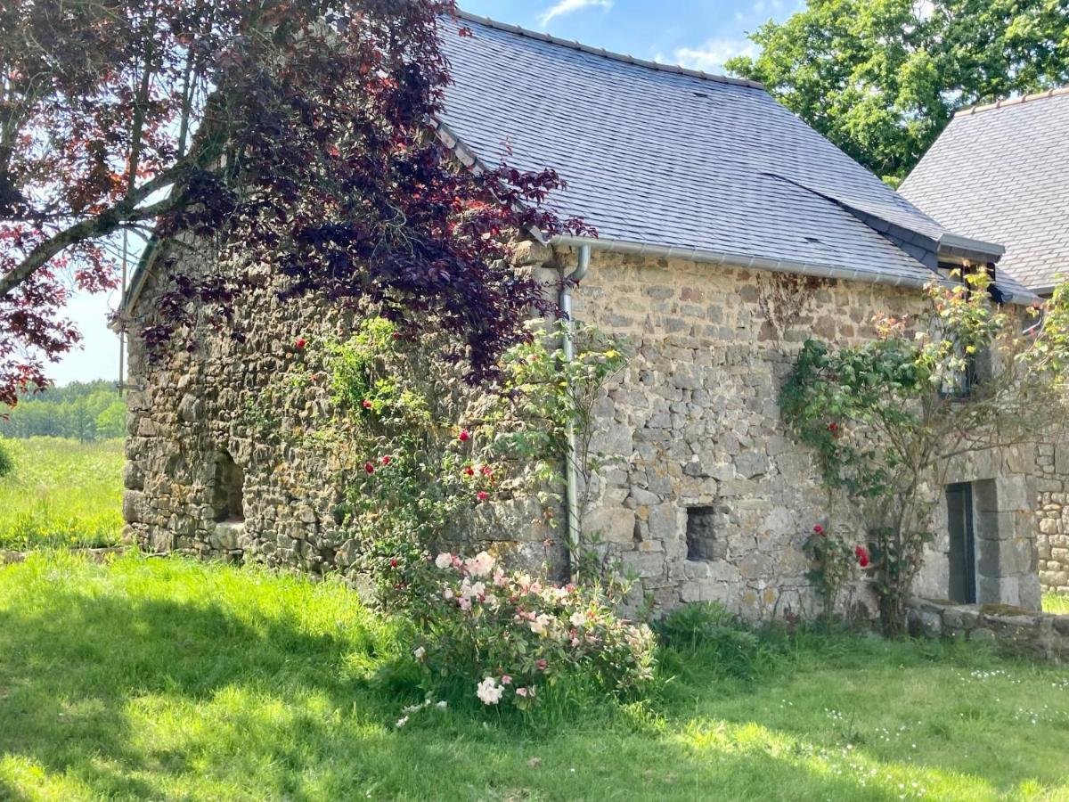 Villa Le Nid De La Breizhidence Combourg Esterno foto